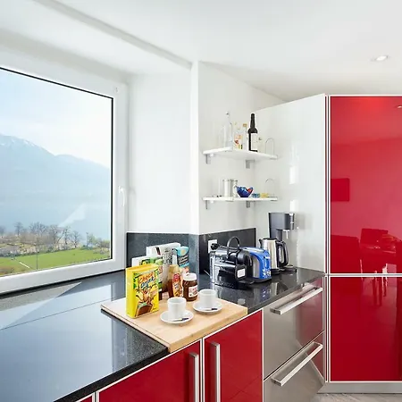 Pellegri's Apartment Minusio